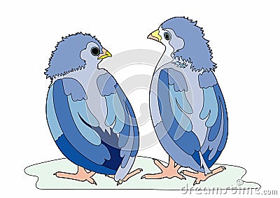 Two blue birds Vector Illustration