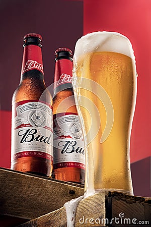 Two bottles of cold Budweiser beer and a glass of beer on a red background, the legendary American beer Editorial Stock Photo