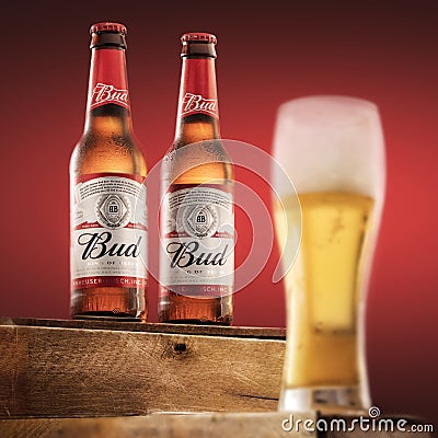 Two bottles of cold Budweiser beer and a glass of beer on a red background, the legendary American beer Editorial Stock Photo