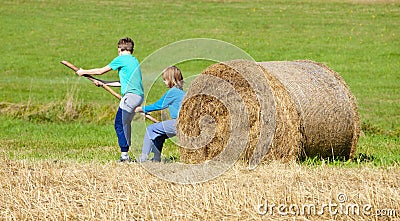 Boys Moving Bale of Hay with Stick as a Lever Stock Photo