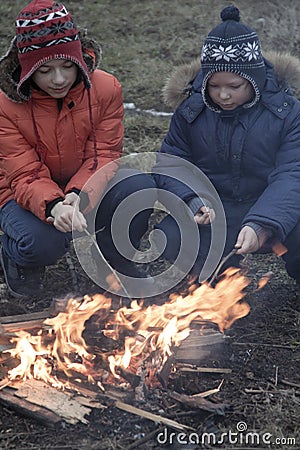 Two brother roasting hotdogs on sticks at bonfire. Children havi Stock Photo