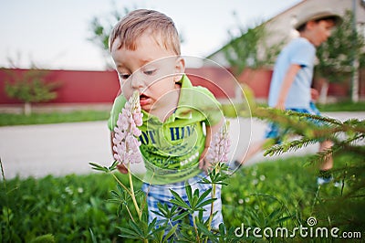 Two brothers sniffing flowers, little nature researchers Stock Photo