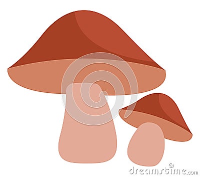 Two brown boletus mushrooms, icon icon Vector Illustration