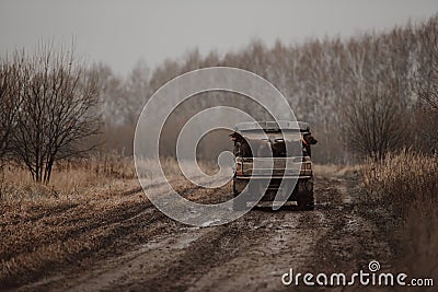 Two brown hunting dogs in a car trunk together Stock Photo