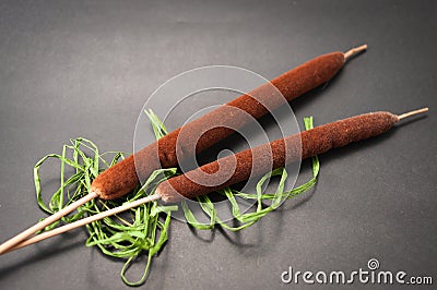 Two bulrushes and green bast lie on a black background. Stock Photo