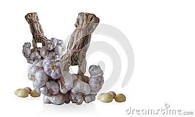 Two bunch of fresh garlic on white background, health, food, vegettable, copy space Stock Photo