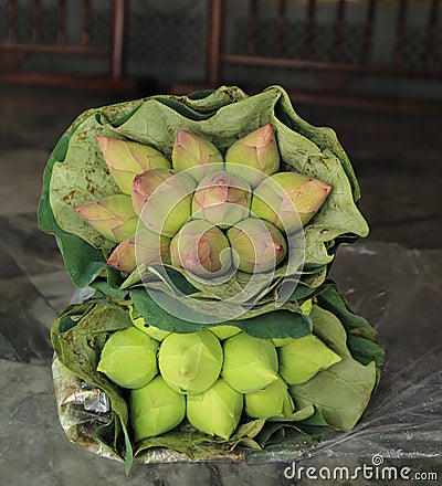 Two bunch, two color lotus bud flowers wrap with lotus leaf. Buddhism offerings Stock Photo
