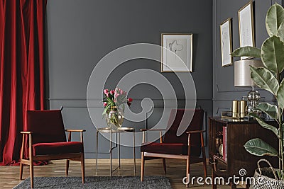 Two burgundy armchairs placed in grey living room interior with Stock Photo