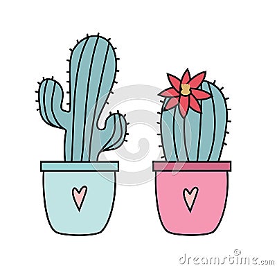 Two cactus isolated on white background. Vector illustration. Vector Illustration