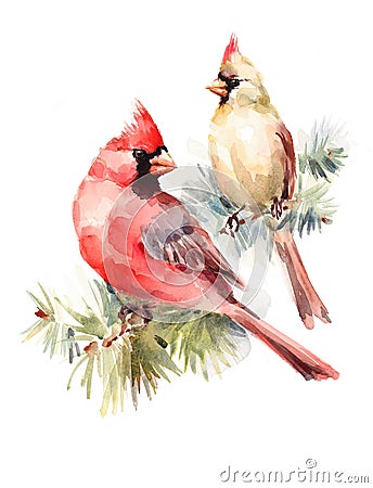 Two Cardinals Birds Male and Female Watercolor Christmas Illustration Hand Drawn Love Couple Cartoon Illustration