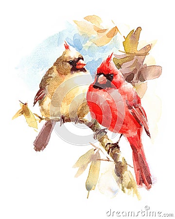 Two Cardinals Birds Male and Female Watercolor Illustration Hand Drawn Love Couple Cartoon Illustration