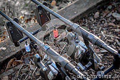 Two carp fishing rods on alarms Stock Photo