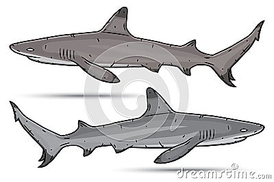 Two cartoon sharks isolated on white background. Vector Illustration