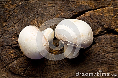 Two champignon mushrooms Stock Photo