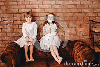 Two charming sisters dressed in beautiful dresses are sitting on the brown armchair on the background of a brick wall Stock Photo