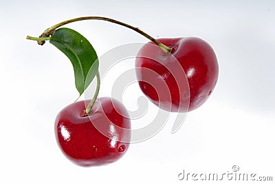 Two cherries on a branch. Stock Photo