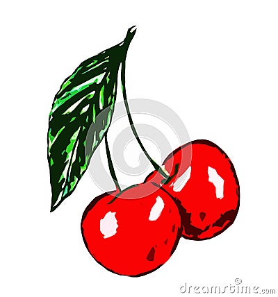 Two cherries on a twig with leaves on a white background Stock Photo