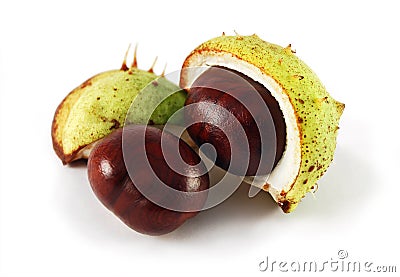 Two chestnuts Stock Photo