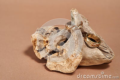 Two chic gold rings with notches arranged on wooden element over beige background Stock Photo