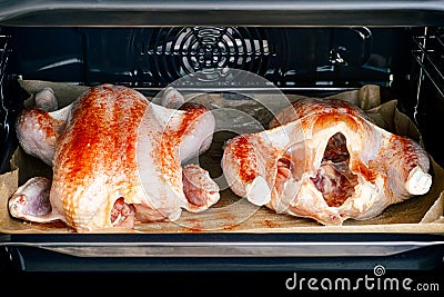 Two chickens on baking tray ready to cook in oven Stock Photo
