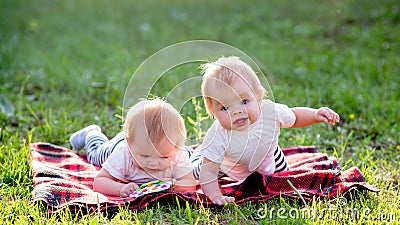 Two children of 6 months crawl on a blanket Stock Photo