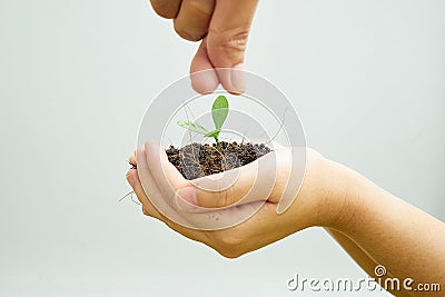 Two children`s hands, learning to plant trees back to nature. With the teaching of his father. Stock Photo