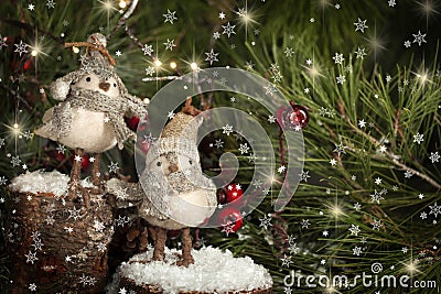 Two Christmas Birds Stock Photo