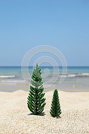 Two Christmas trees on a sandy beach on the background of blue sea and sky on a sunny day. Stock Photo