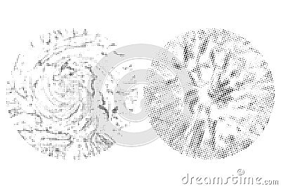 two circles with different shapes and sizes with halftone dots effect, eye lens with bitmap dot texture set Vector Illustration