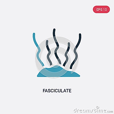 Two color fasciculate vector icon from nature concept. isolated blue fasciculate vector sign symbol can be use for web, mobile and Vector Illustration