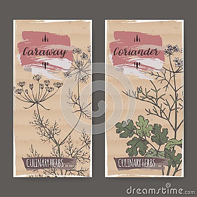 Two color labels with caraway and coriander sketch. Vector Illustration
