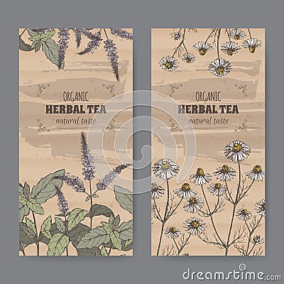 Two color vintage labels for peppermint and chamomile herbal tea. Vector Illustration