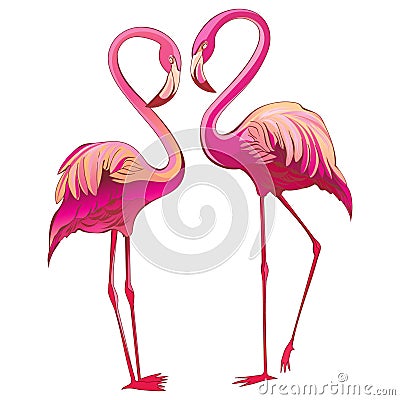 Two colorful flamingos looking at each other and building a heart-shape Cartoon Illustration