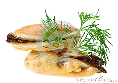Two cooked unshelled sea mussel with dill twig Stock Photo