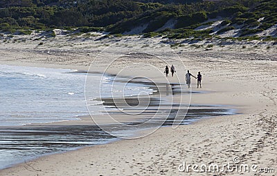 Two couples walk on a beach. Fingal Bay. Australi Editorial Stock Photo