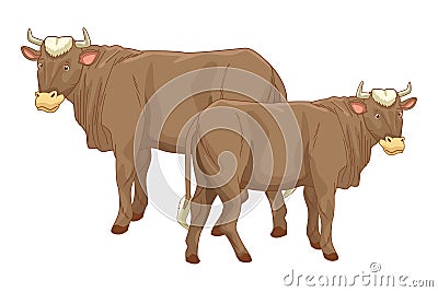 Two cows animals cartoons isolated Vector Illustration