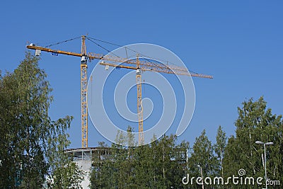 Two cranes stands in the direction of the wind Editorial Stock Photo