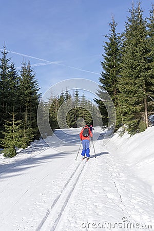 Two cross-country Skiers runs on groomed ski track in sunny winter day. Stock Photo