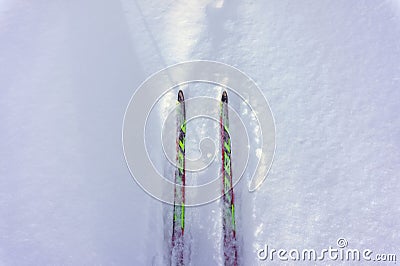 Two cross-country skis stand on white fresh snow Editorial Stock Photo