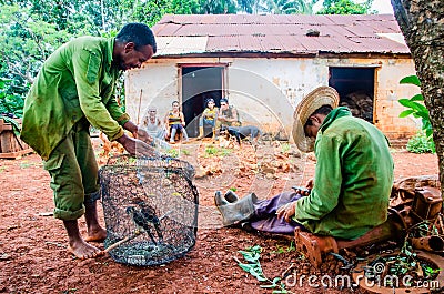 Two cuban peasants on their break time. Mayabeque, Cuba Editorial Stock Photo