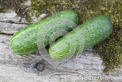 Two of cucumber 2 Stock Photo