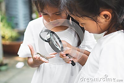 Two cute asian child girls using magnifying glass watching and learning on grasshopper that stick on hand with curious and fun Stock Photo