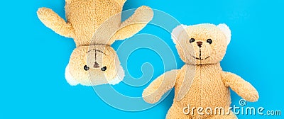 Two cute brown teddy bears child toy with open arms and heads side by side upside down in opposite directions. Stock Photo