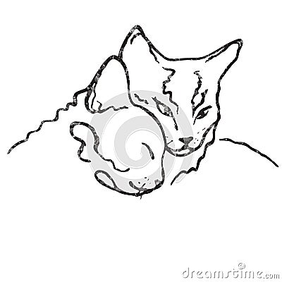 Two cute cats together/ love Vector Illustration