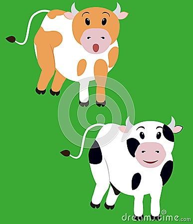 Two cute cow, cartoon calf Vector Illustration