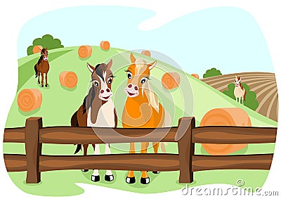 Two cute horses on pasture Vector Illustration