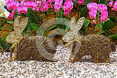 Two cute little easter bunnies Stock Photo