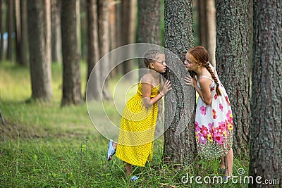 Two cute little girls friends in pine Park. Walking. Stock Photo