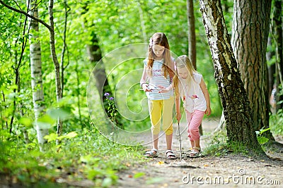 Two cute little sisters having fun during forest hike on beautiful summer day. Active family leisure with kids. Stock Photo