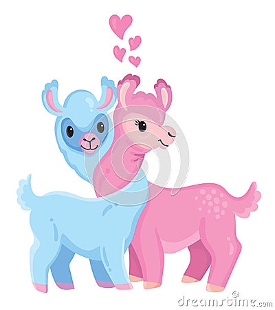 Two cute Valentine`s llamas with necks intertwined Stock Photo